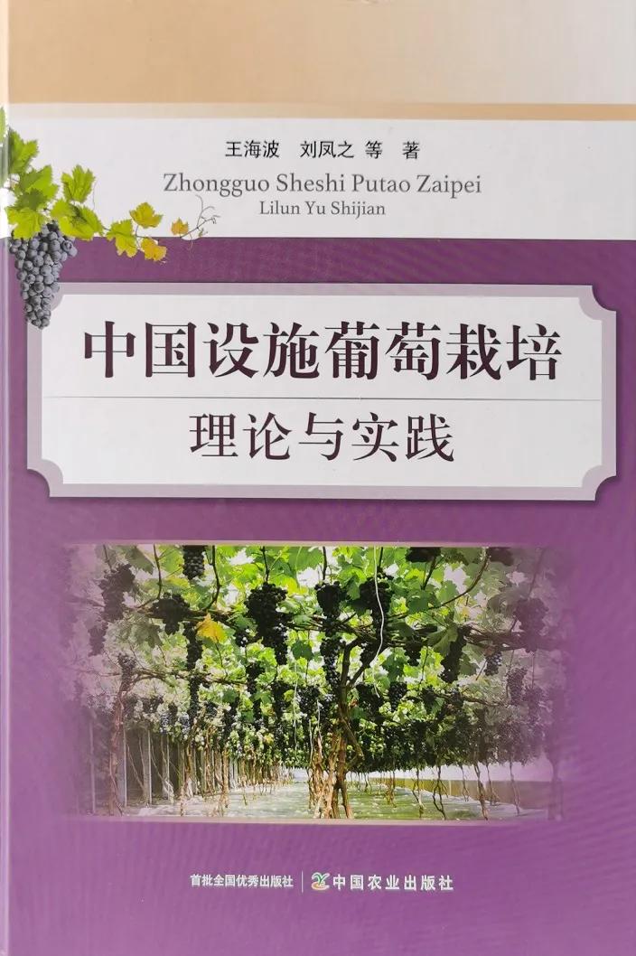 葡萄熟了但很小,葡萄有的熟了有的没熟