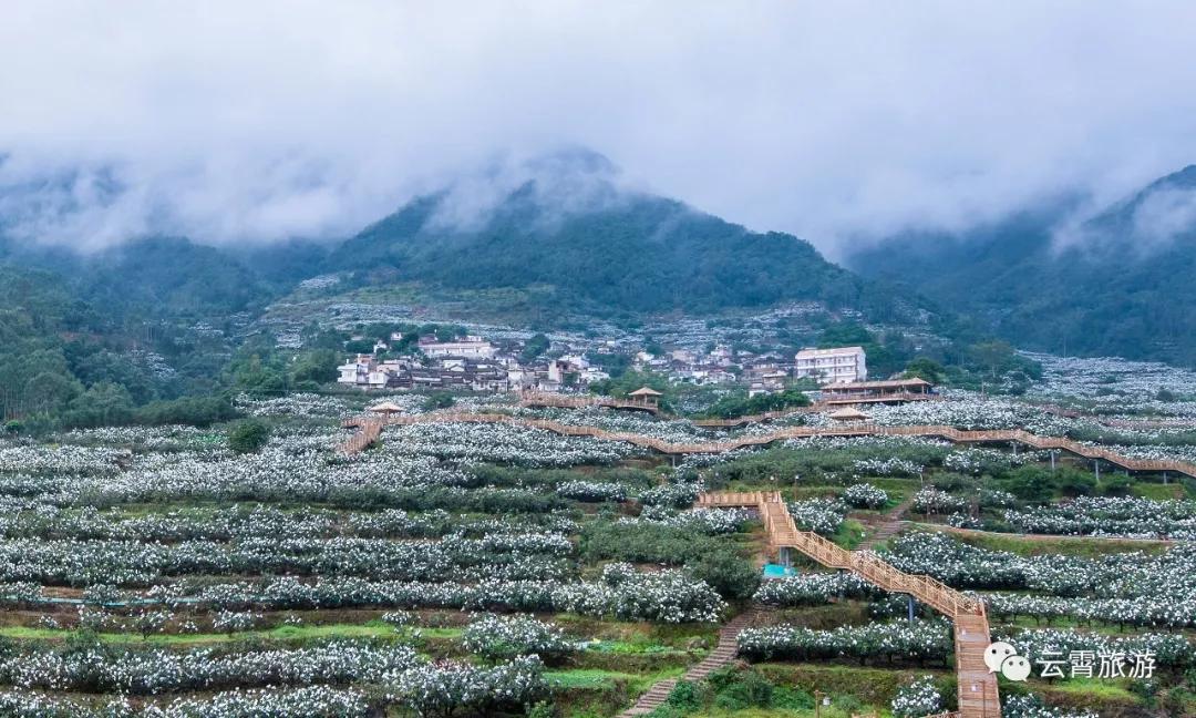 双节溜达最佳路线图,云霄旅行攻略