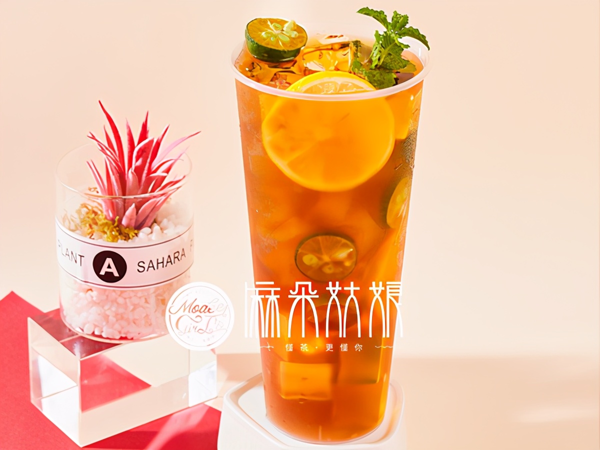 必普集团总监讲解,必普集团茶叶