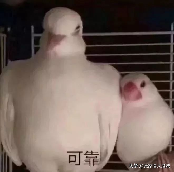 城市智能回收分类垃圾箱,张家港垃圾回收处理