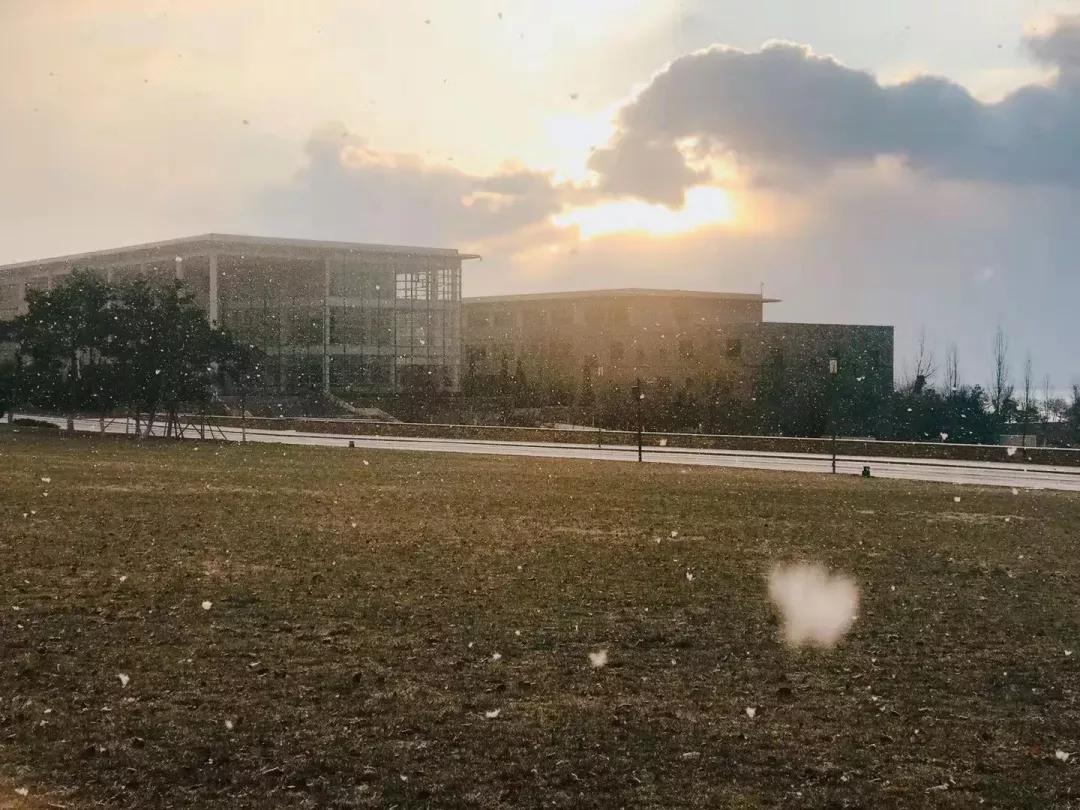 辽宁省高校（三十一）大连医科大学