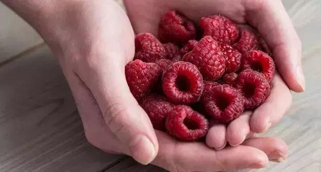 减肥应该吃什么，是多少，这篇文章帮你“一手”搞定