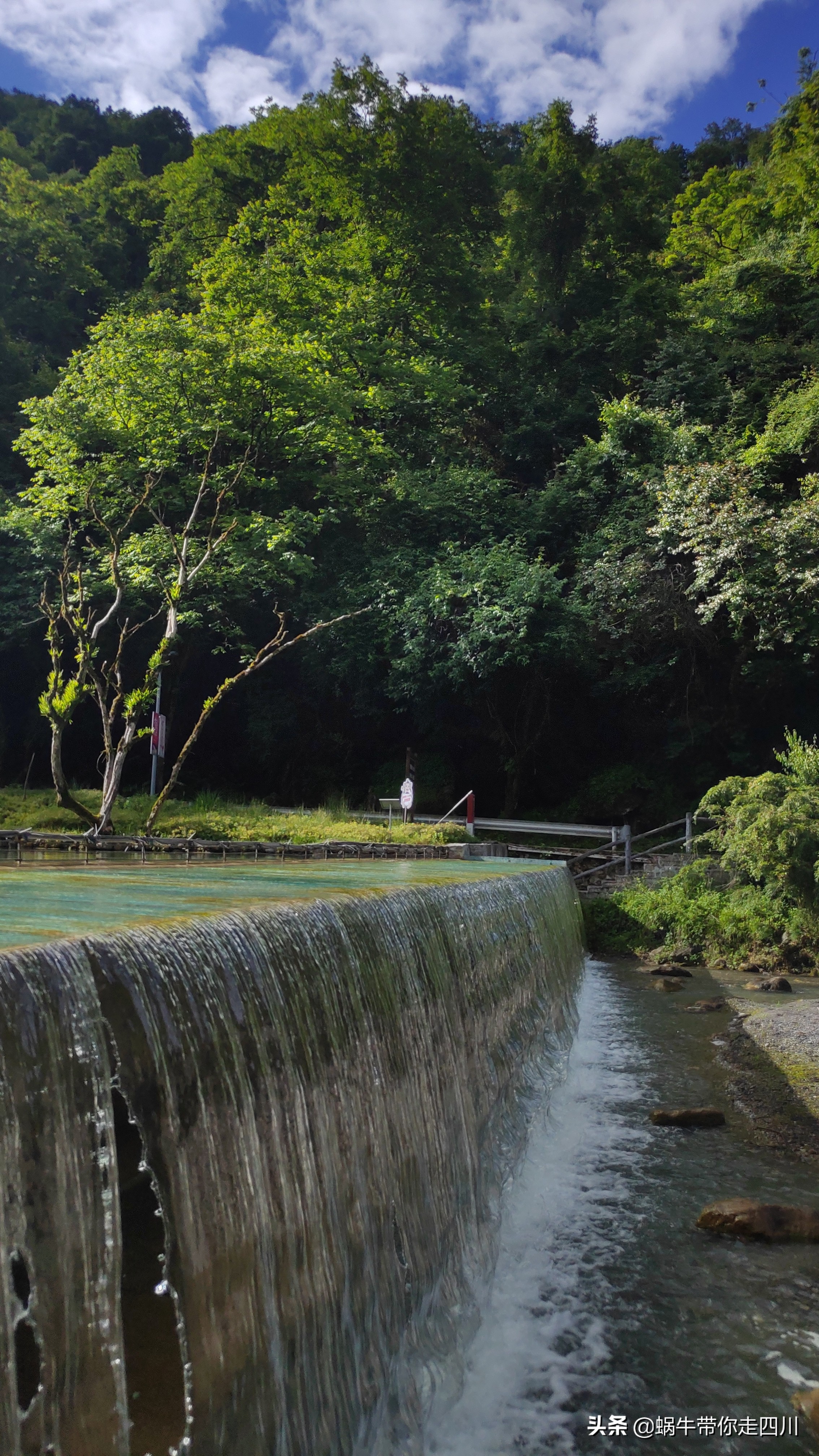 带小朋友出去看小动物,带小孩去海洋动物园