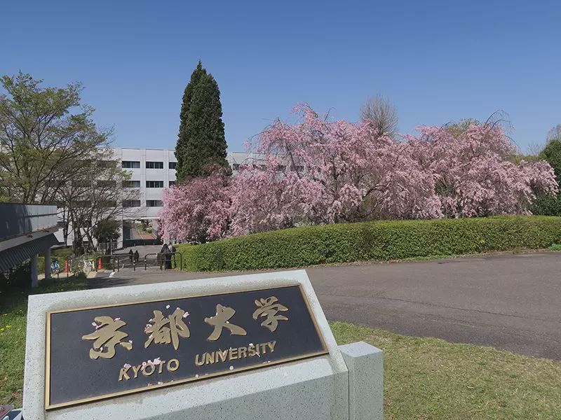 论日本大学：东京大学=清华，京都大学=北大；但最受欢迎：北海道大学