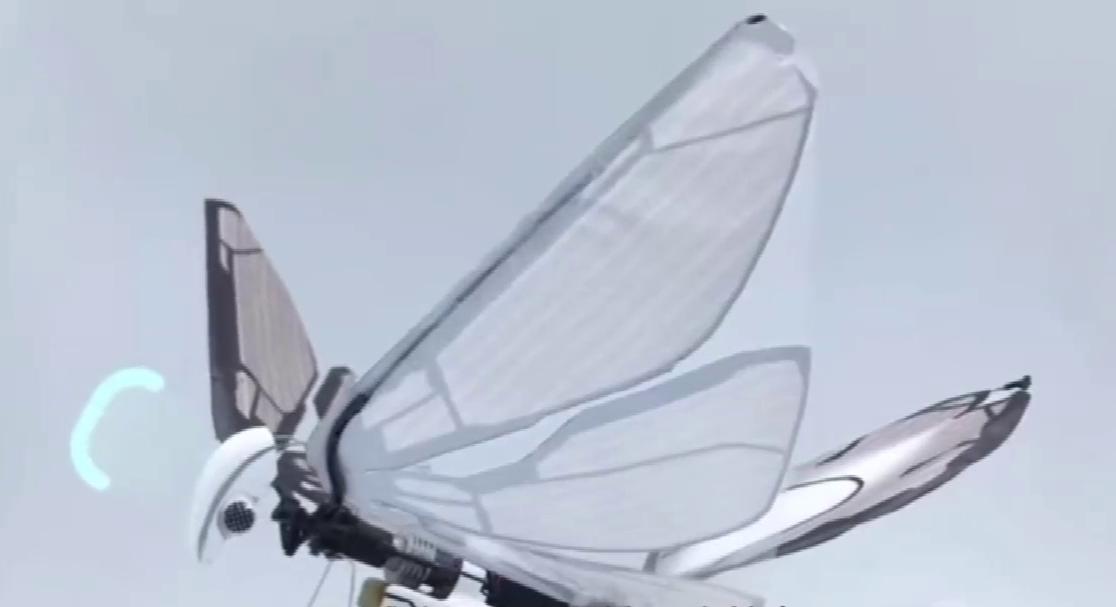 中国鸟形仿生无人机,仿生蜻蜓扑翼无人机测评