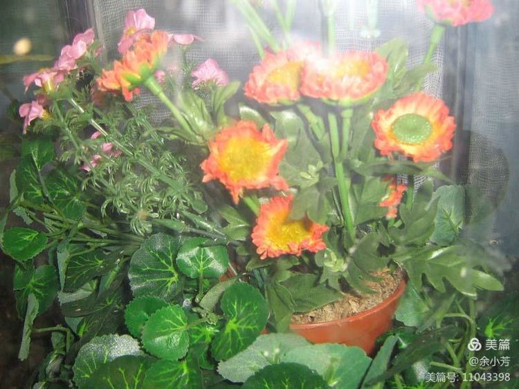 上海昆虫馆,上海昆虫博物馆研学