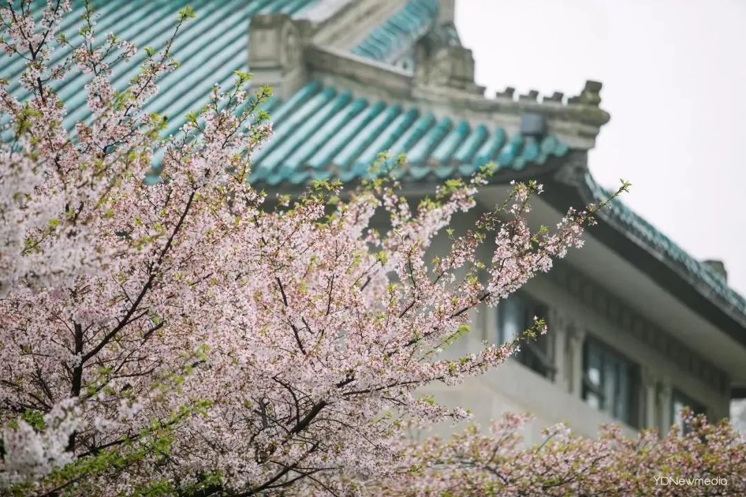 浠庢姹夋斁鍋囧洖瀹剁殑瀛︾敓,浠庢姹夊洖鏉ョ殑澶у鐢熶滑