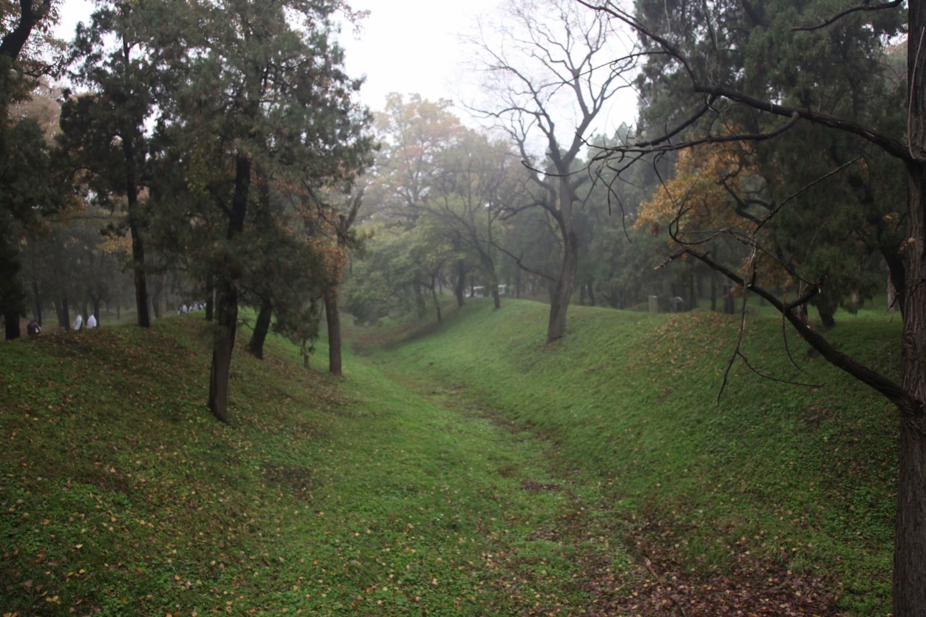 三孔在多少年被收入世界遗产名录,中国世界文化遗产三孔面积