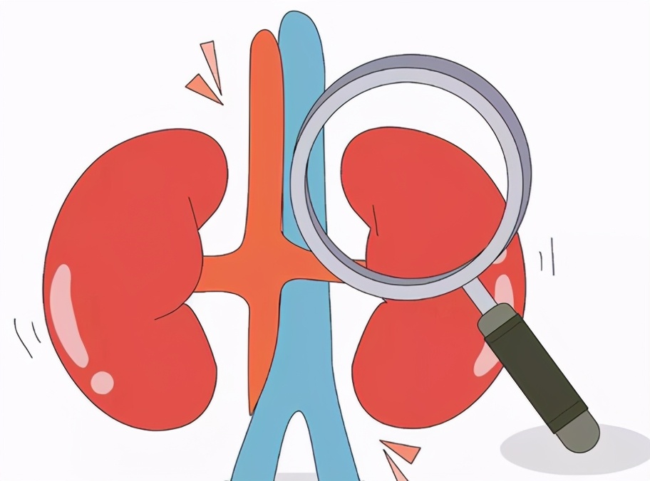 腰疼如何区分腰椎还是肾脏,腰疼怎么分辨是肾病还是腰病