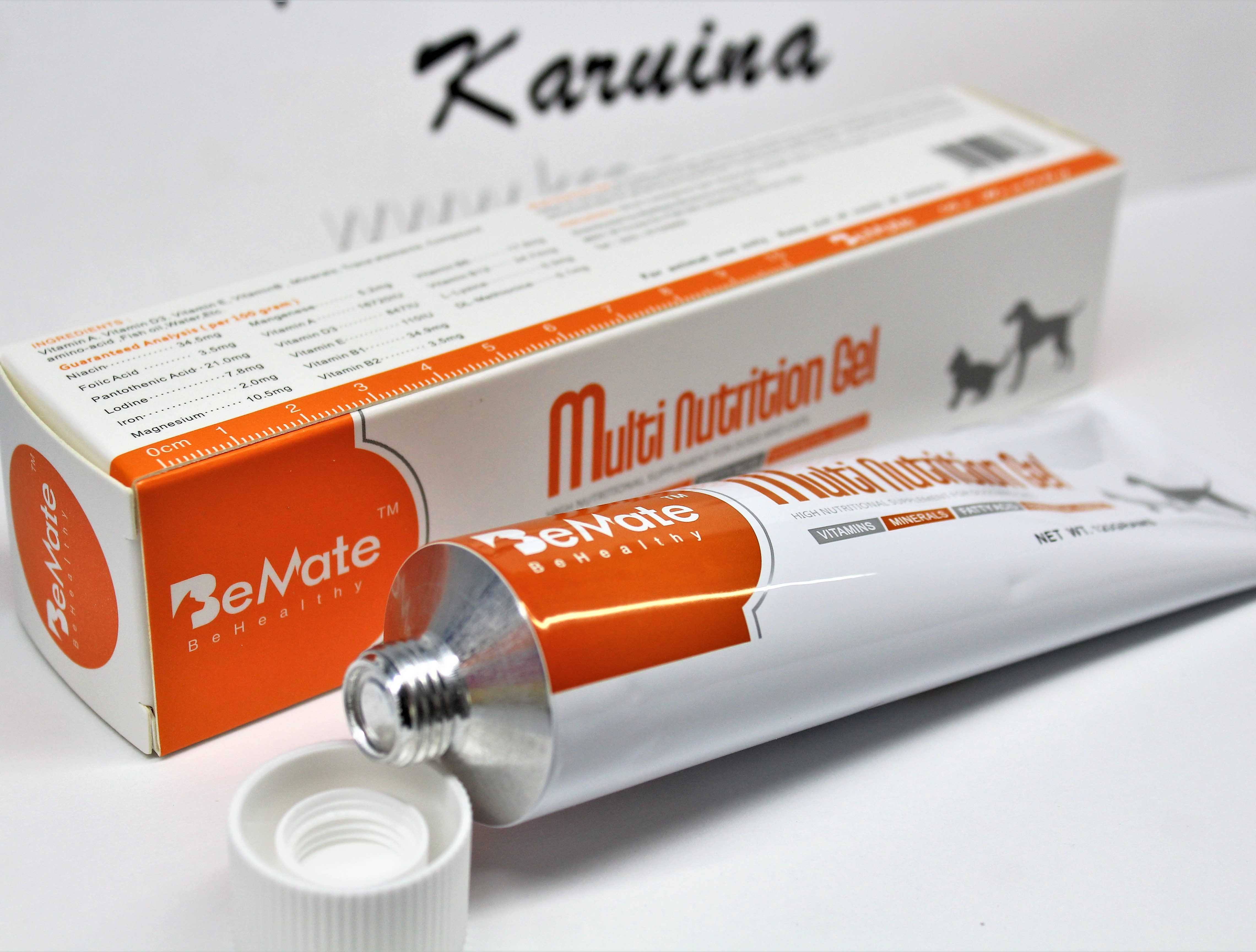 养巴哥犬需要注意的事项,养巴哥犬需要注意什么细节