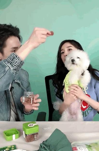 杨幂的腿比筷子腿更美,杨幂的腿型好看吗