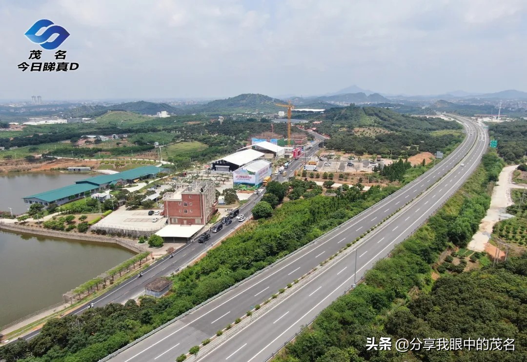 茂名荔枝大会,茂名市520荔枝产业大会