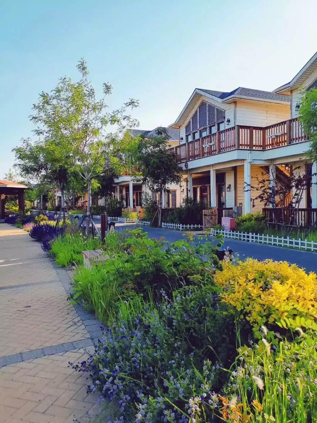 月圆中秋|来月坨岛度过难忘的中秋佳节吧