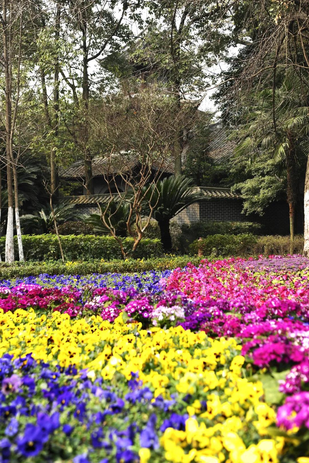 成都双流中学初中部怎么样,双流中学是不是双流最好的