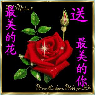 朋友早：祝你健健康康，如意环绕，幸福拥抱！