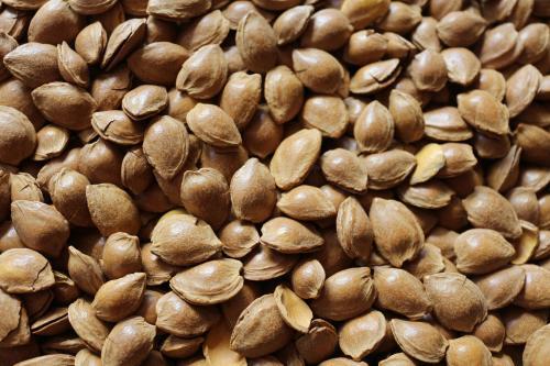 宝宝补钙最佳食物怎么做,如何快速给宝宝补钙最快最有效