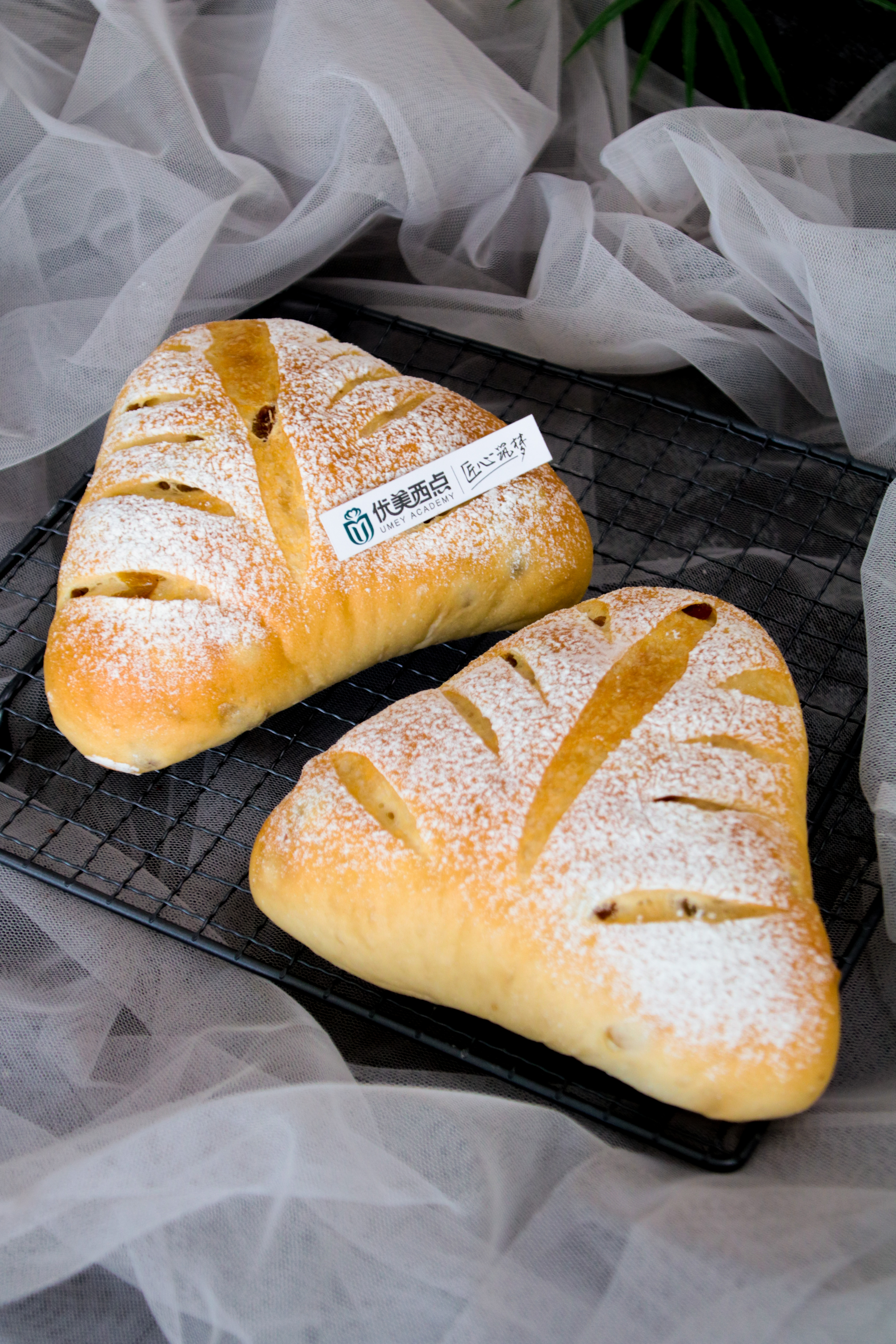 面包怎么保存没有冰箱,如何处理面包让面包保存更久