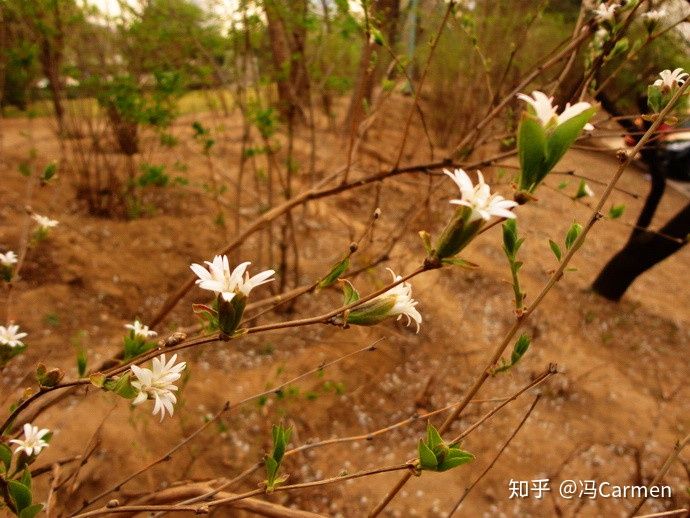 冷知识科普员,冷知识大科普你知道几条