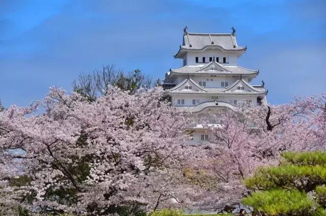 日本白川乡旅游攻略,上海去日本旅游最好的攻略