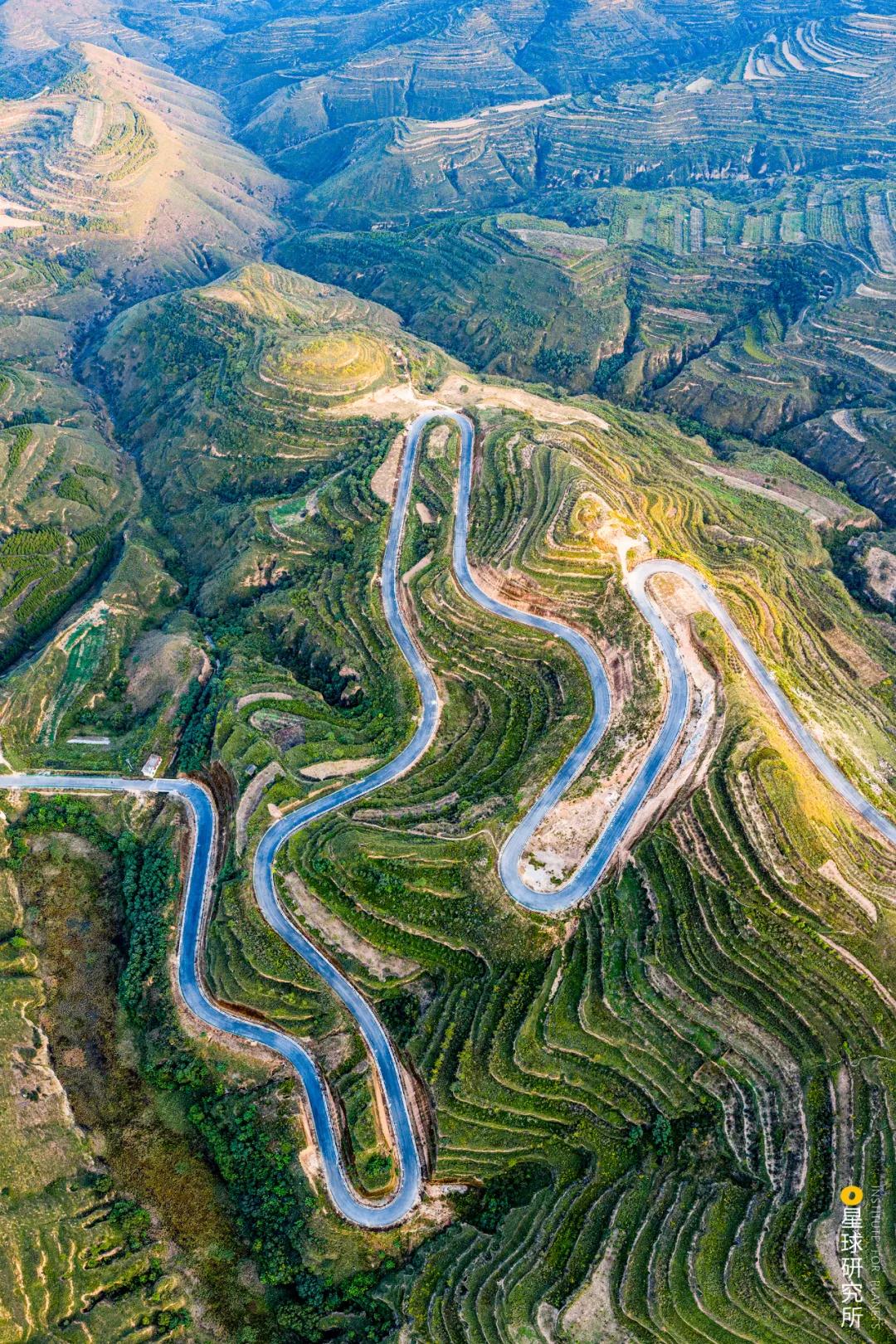 中国植树造林面积,中国植树造林成果国外有什么看法