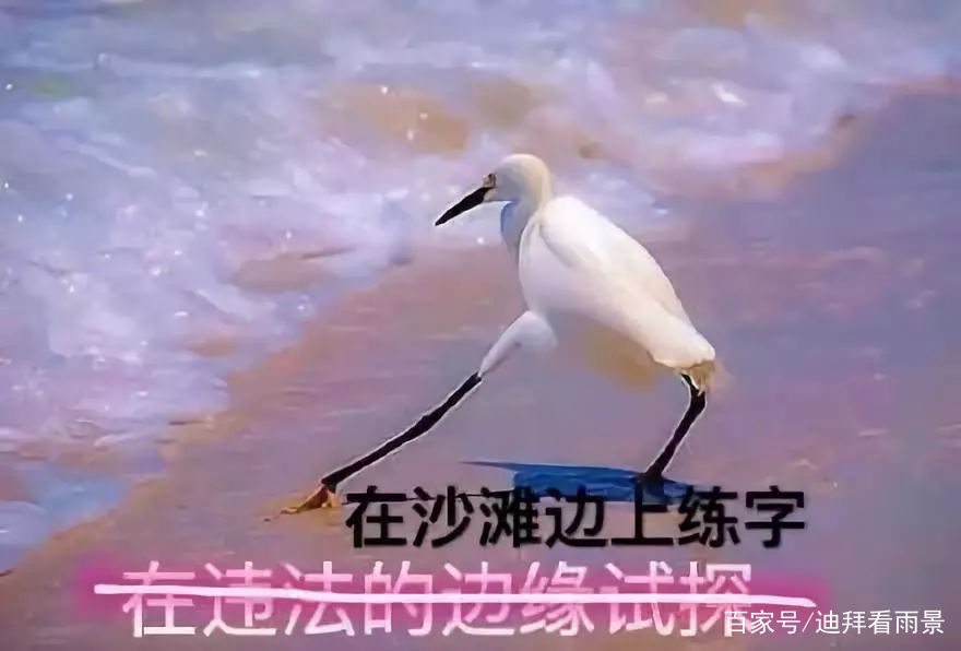 电商法草案,电商法法律法规2020