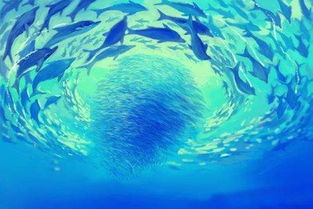 《海底两万里》奇异的海底生物,海底两万里的三处神奇的地方