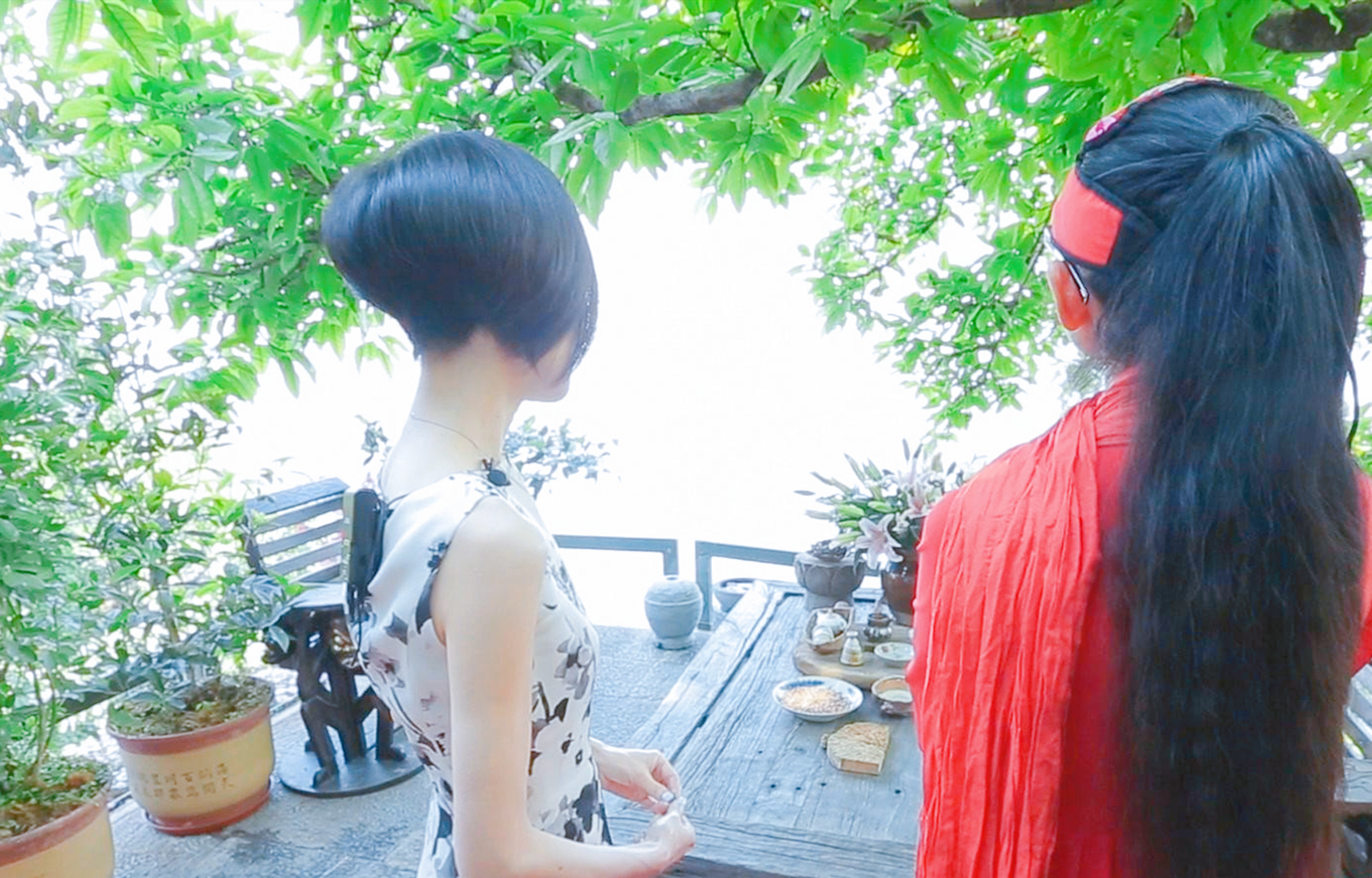 杨丽萍花3千多万,杨丽萍出场费多少钱一次