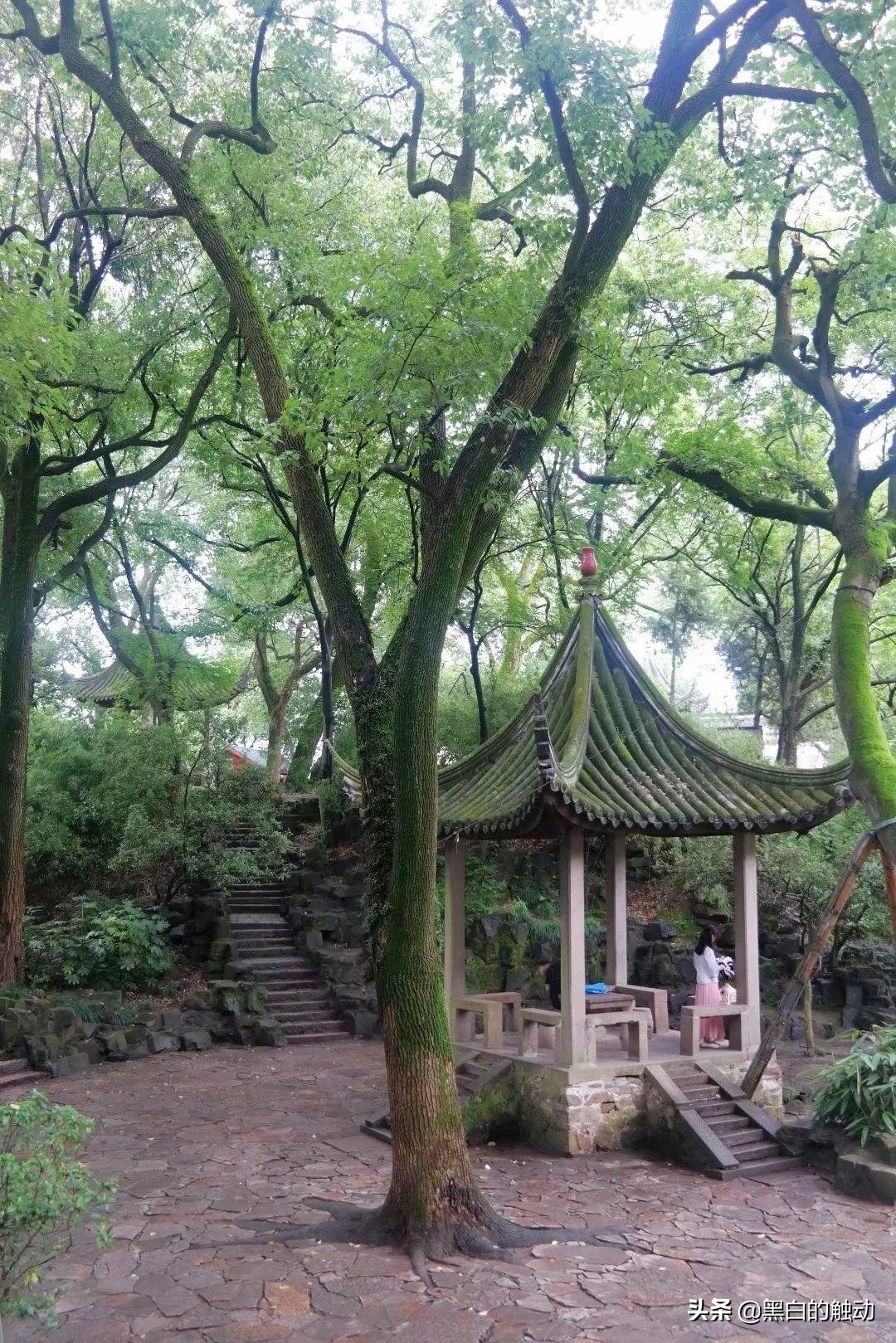 苏州除了拙政园还有哪个园林最好,苏州哪个园林最值得游玩