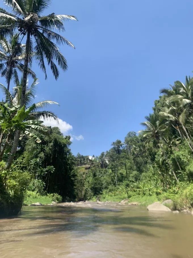 巴厘岛避雷指南和一些诚恳的小建议