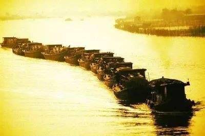 其亡也忽焉的忽是什么意思,其亡也忽焉是什么意思