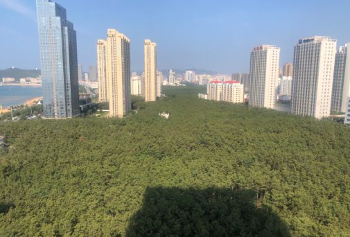 威海国际海水浴场附近房子价格,威海高区海水浴场海景花园