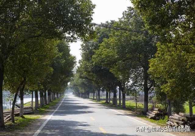 「镜绣中华」直击孝感封城(系列之四)