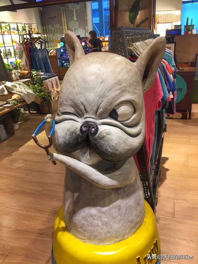 带上妈妈去旅行,带妈妈旅行去哪里合适