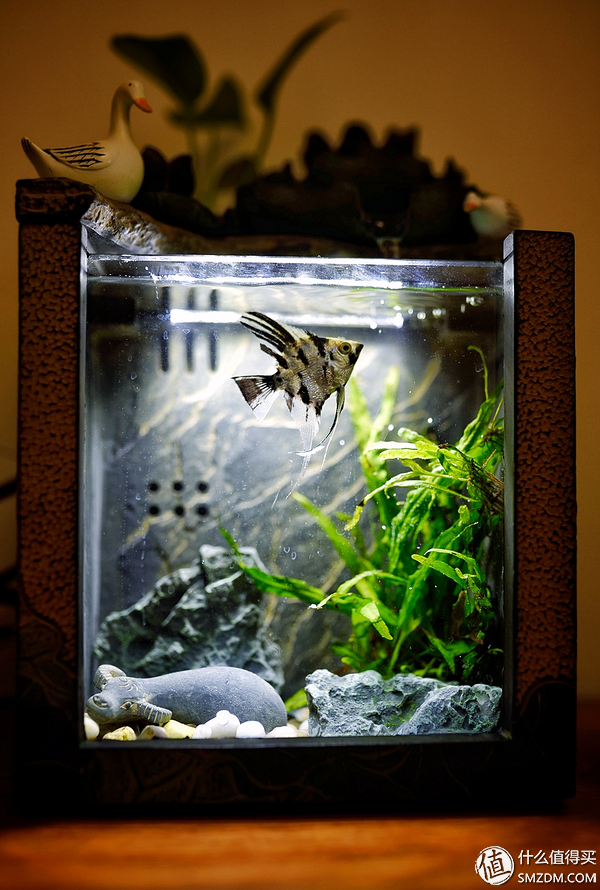 东半球男性礼物,100多男士礼物指南