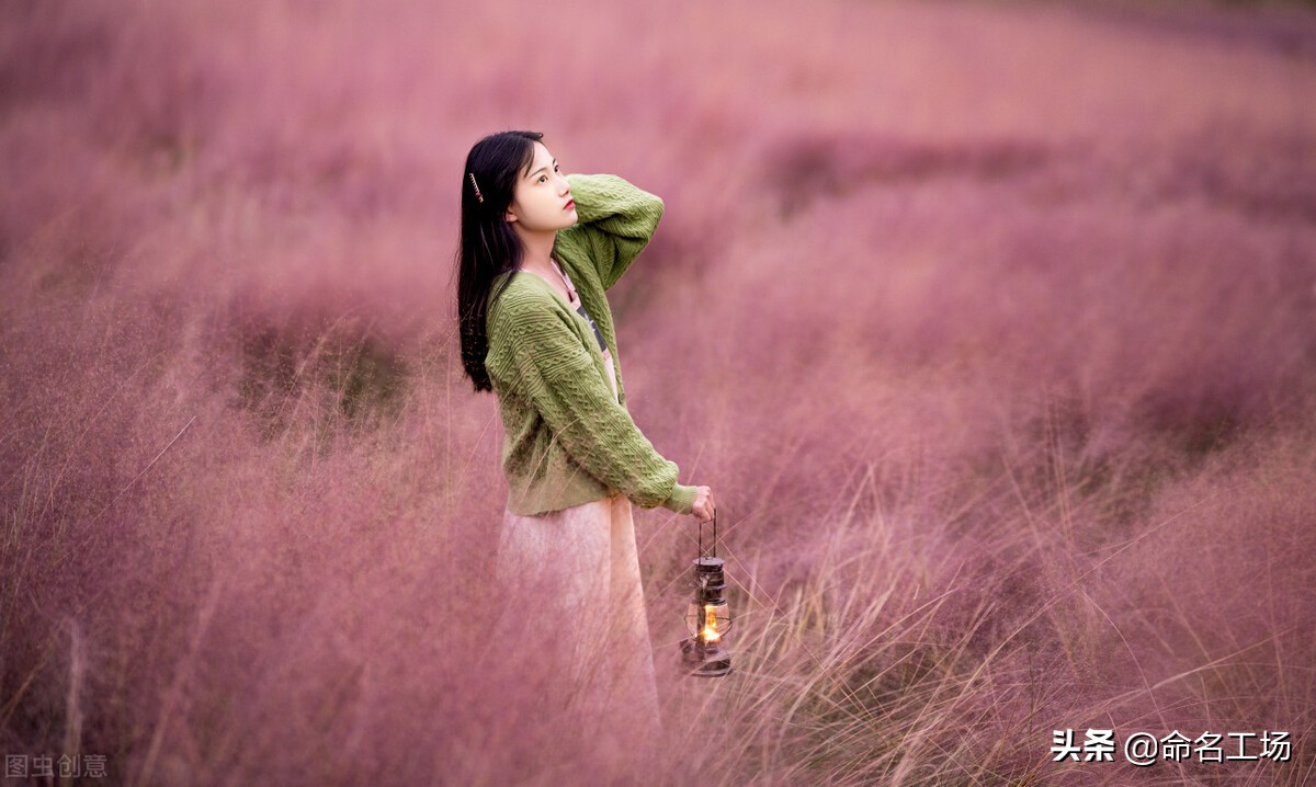 诗意女孩名字小名,女孩起名高贵优雅的名字