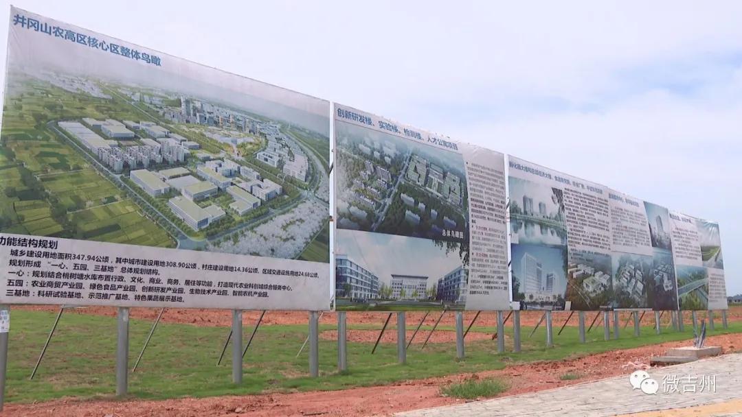 兴桥镇农业,兴桥镇农高区规划图