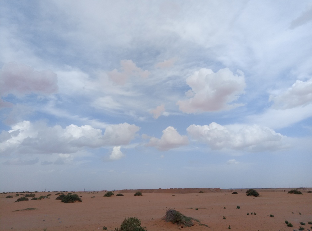 一个沙特打工仔的自述，完全不同的中东风情