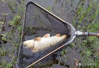 钓大鱼鱼咬口了怎么操作,钓大鱼的时候小鱼老是吃饵怎么办