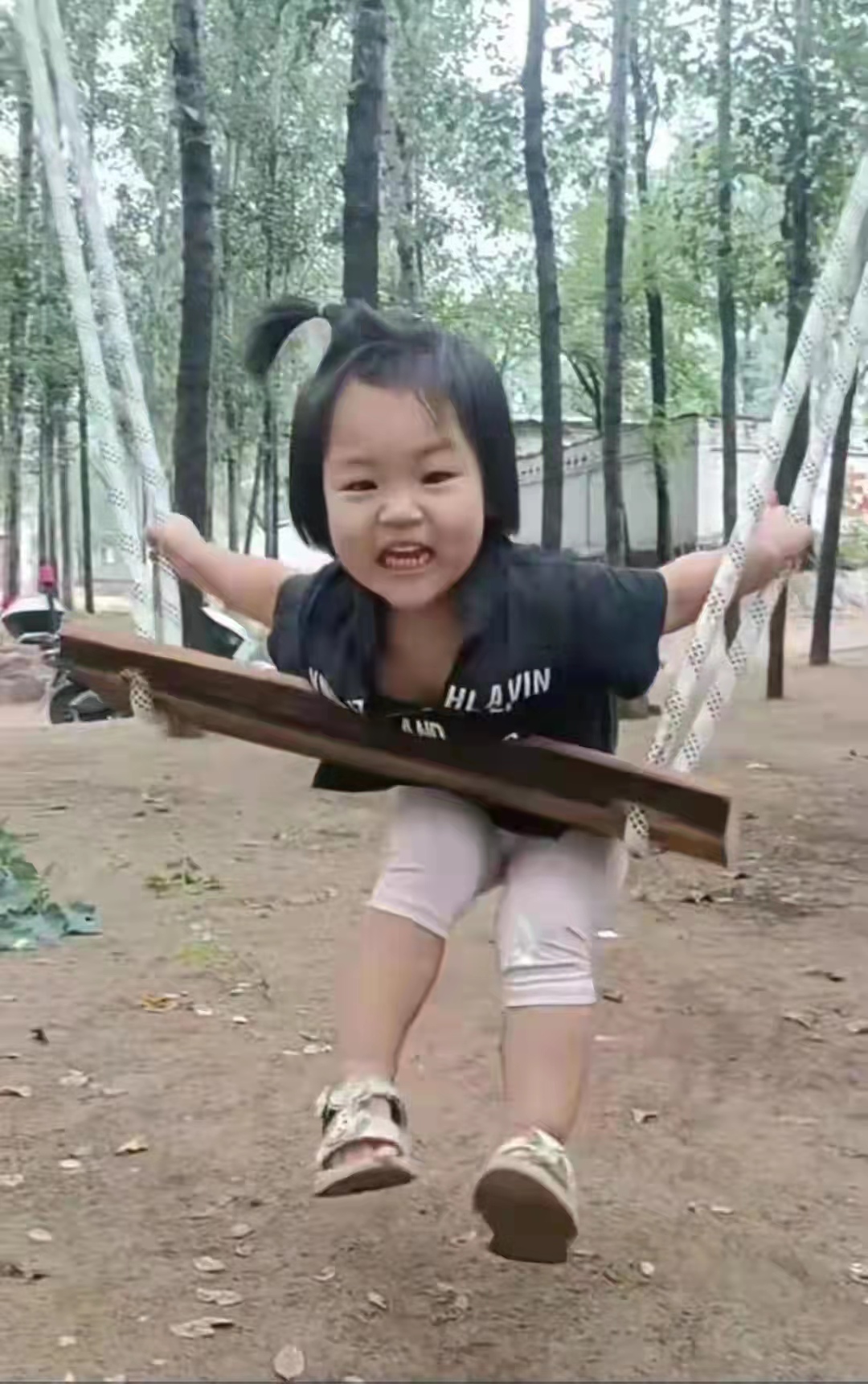 九口子行唐,行唐县九口子