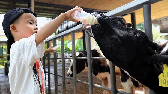 女神节优惠门票深圳,女神节深圳游玩攻略