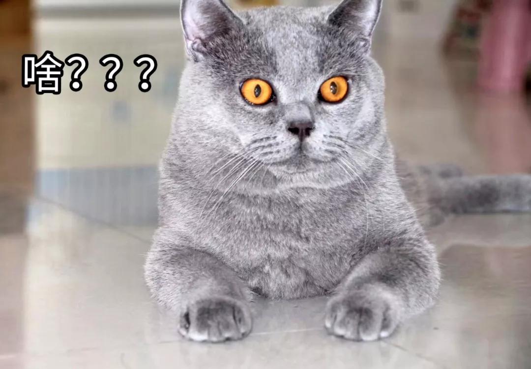 坐庄5年巨亏10亿炒股,股票坐庄骗局手法