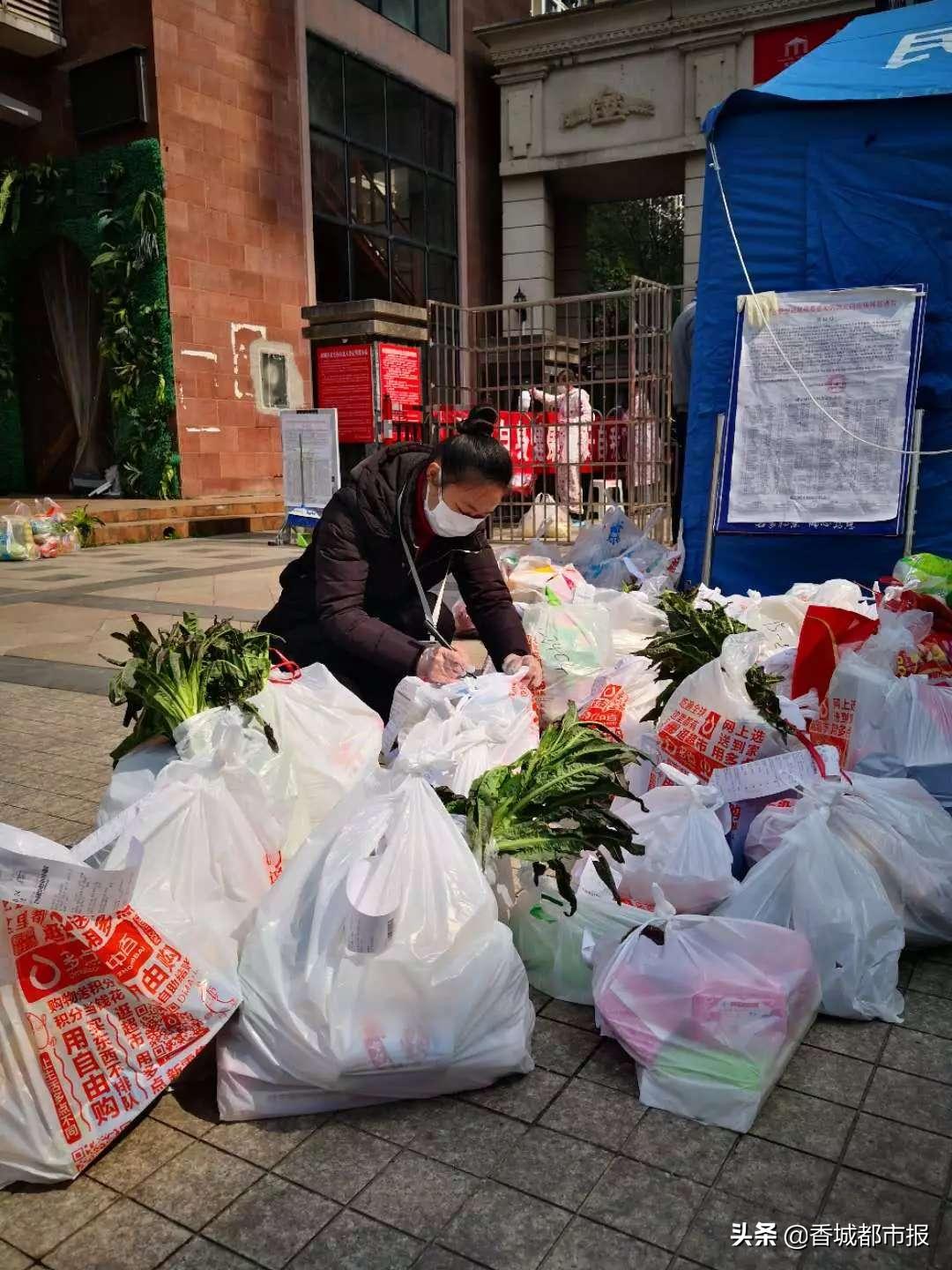 “小小志愿者”演绎“大大楚城”之美