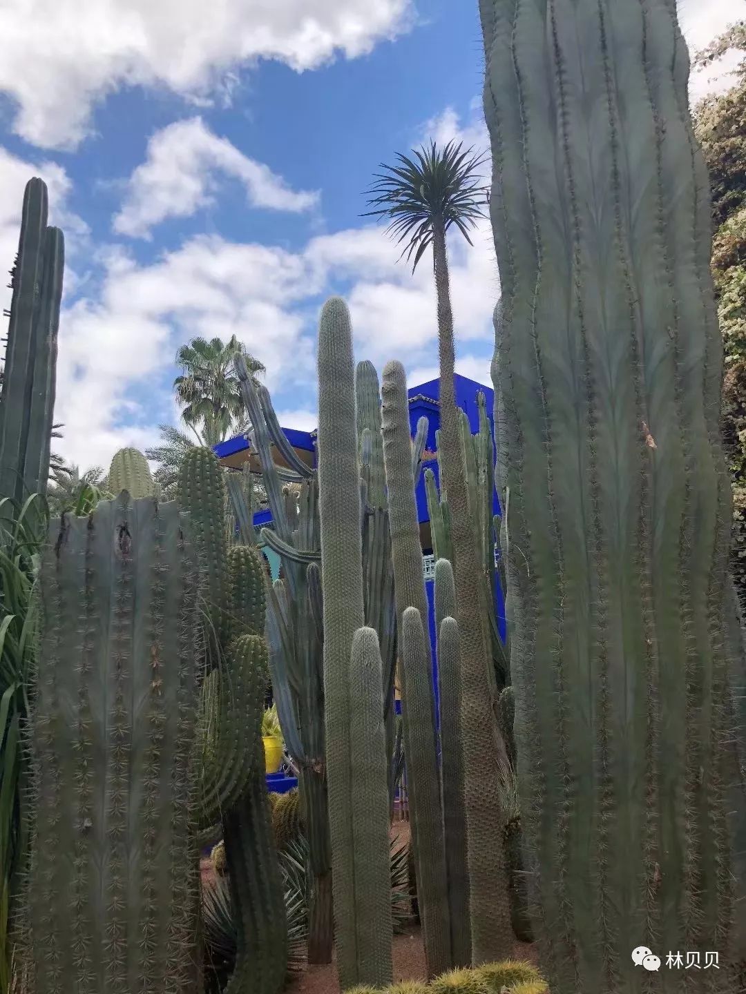 15天快速减肥10斤懒人,摩洛哥12天瘦5斤减肥成功案例