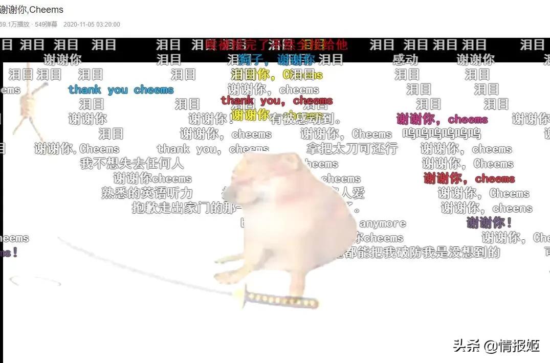 被做成表情包的柴犬doge,doge柴犬表情包万恶之源