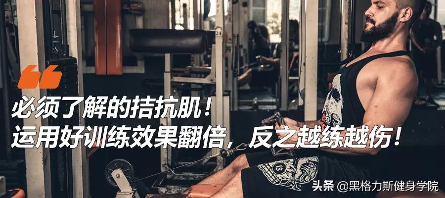 健身腿部解剖动作讲解,健身训练及肌肉解剖图谱大全