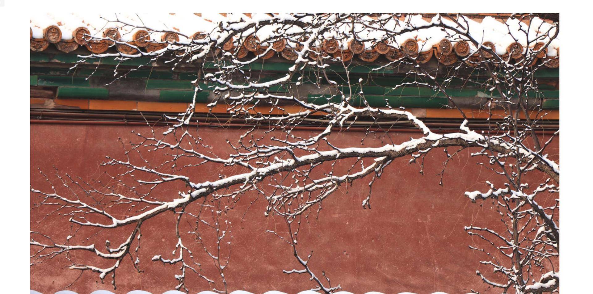 有哪些可以商用的高清图片网站,免费商用高清图网站