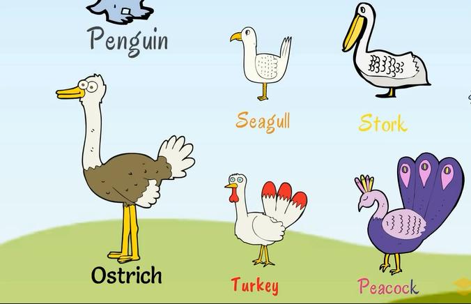 描述动物特征的英文词汇,动物英文词汇1000词