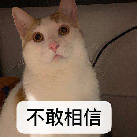 中国交通大学车辆工程,同济大学车辆工程真实现状