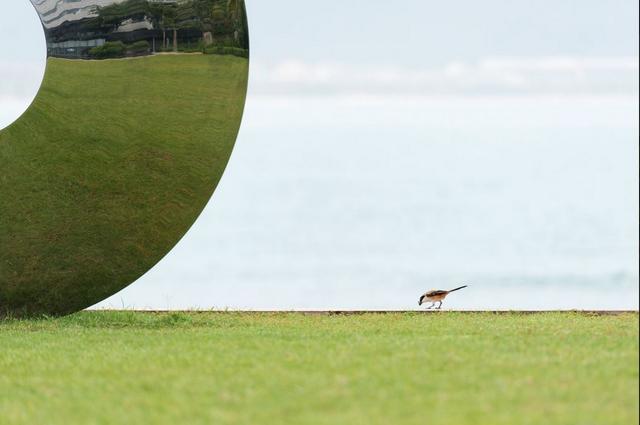 三亚最值得住的亲子酒店,三亚最豪华的酒店住一个月