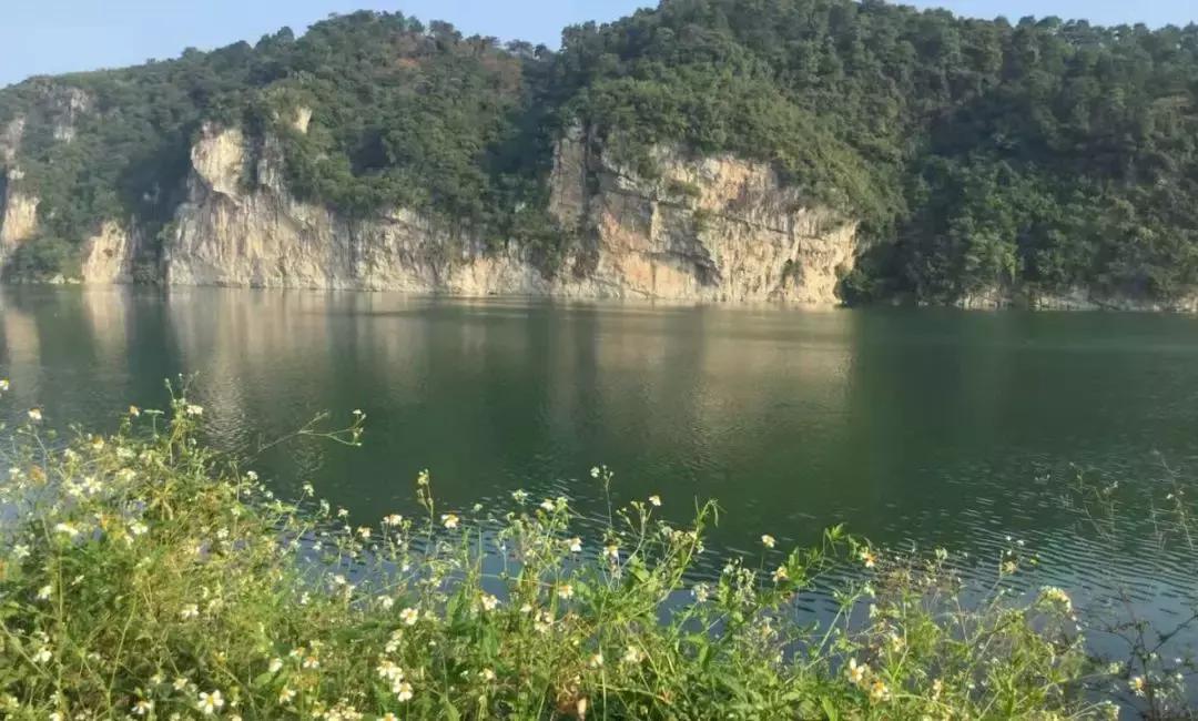 百里柳江“龙凤胎”，这块地为什么这么贵？玄机在这里